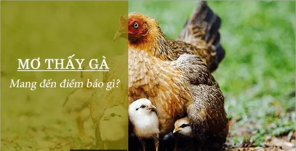 giai-ma-giac-mo-thay-ga-trong-1-min_11zon